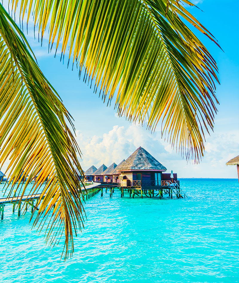 Bora Bora